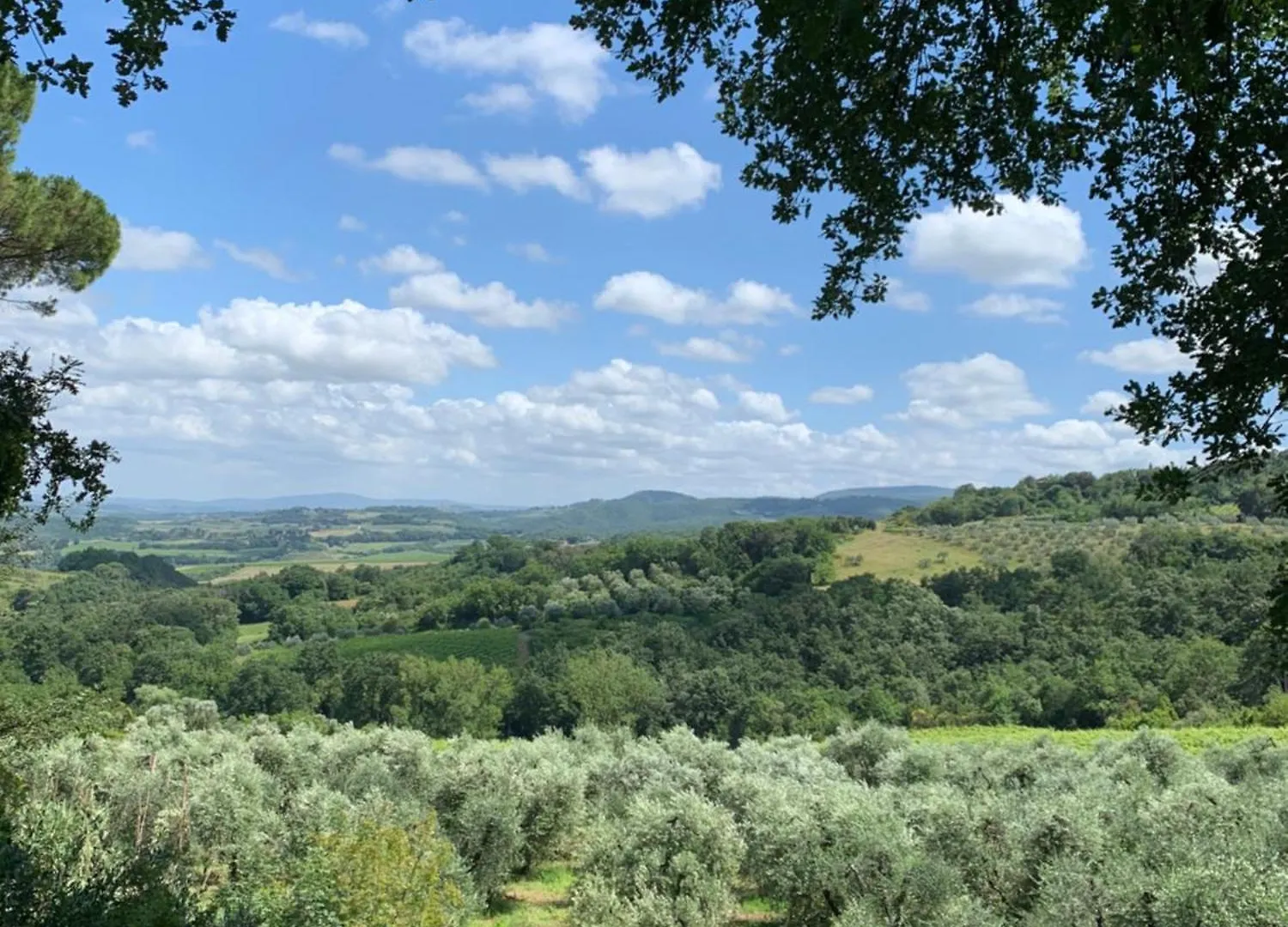 Charm Villa Tuscany Gambassi Terme 0*,  Italy